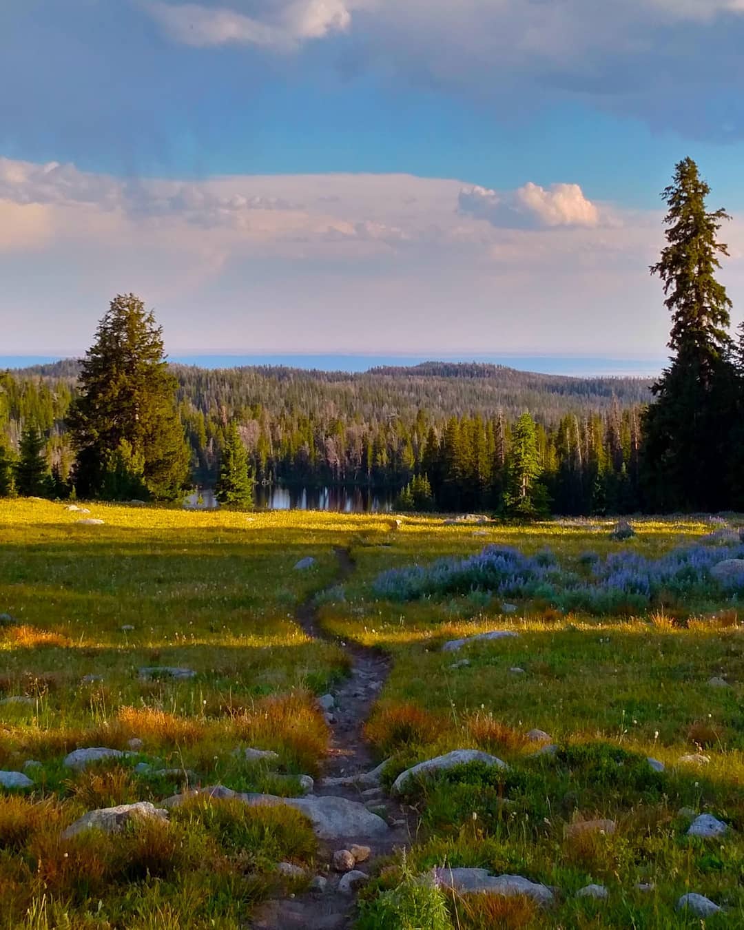 The Power of the Wilderness