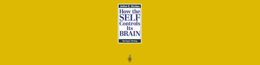 cover banner header How_the_Self_Controls_Its_Brain_-_bookcover