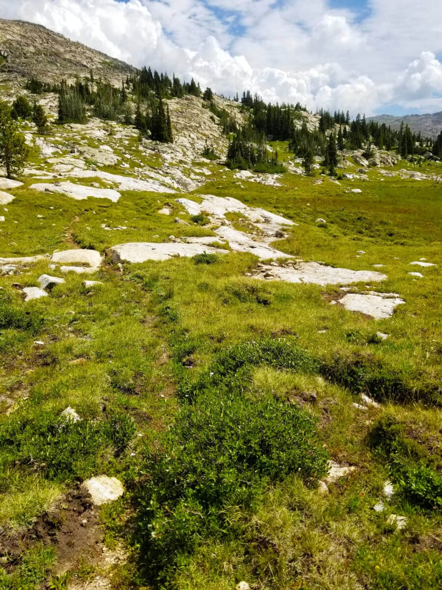 Trail 060 Wyoming