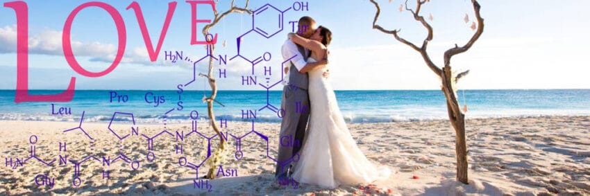love on the beach oxytocin overlay banner chemical structure of love