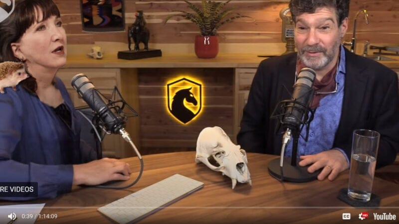 jo jorgensen on the dark horse podcast with bret weinstein