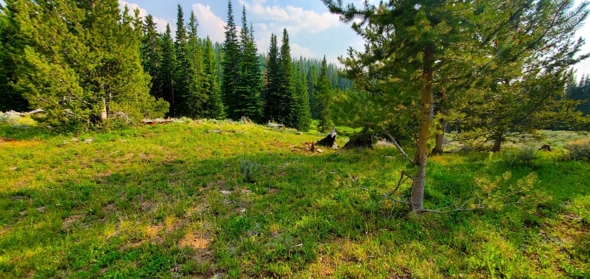 Review 9 Miles Hiking Gypsum Creek Lakes, Wind River Range