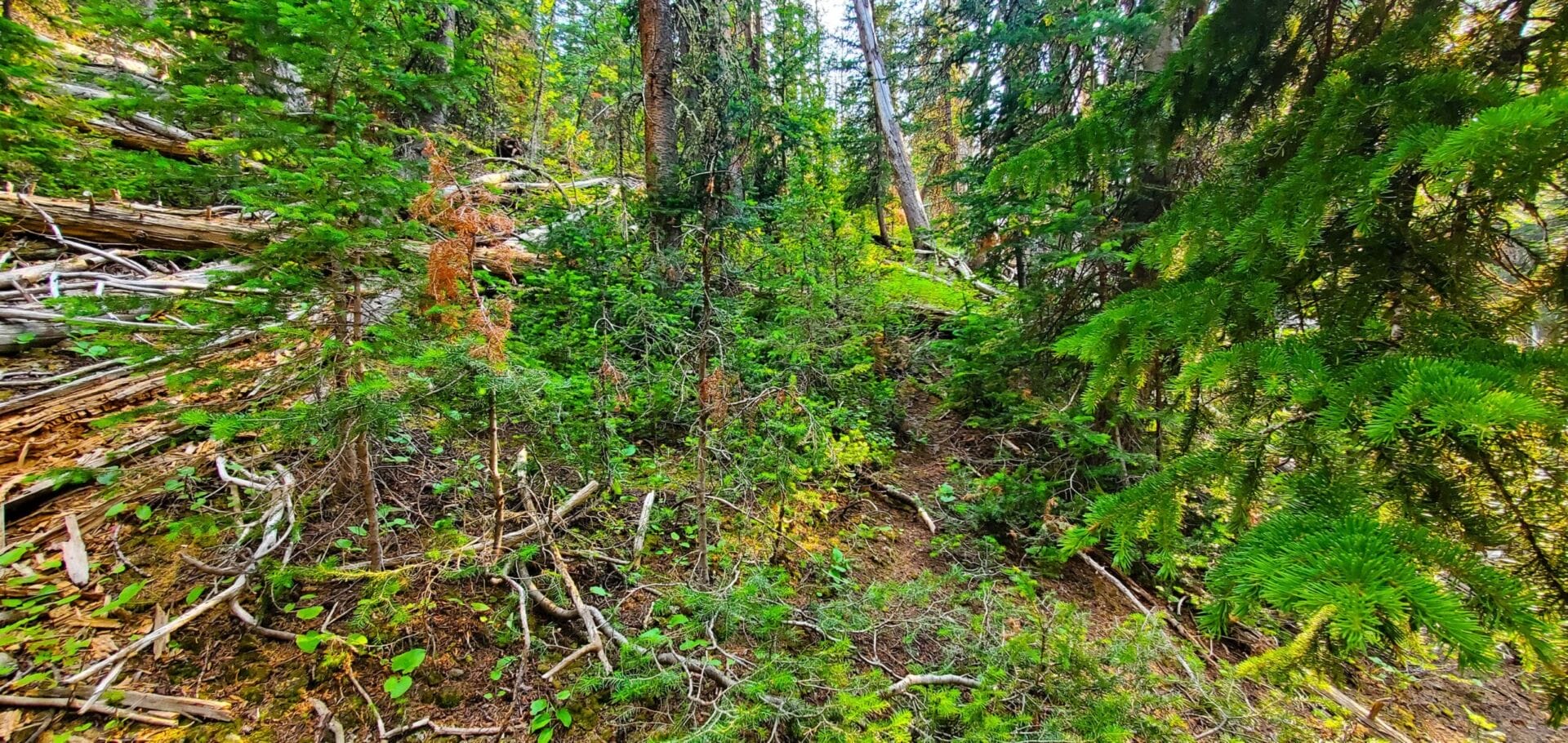 Review 9 Miles Hiking Gypsum Creek Lakes, Wind River Range