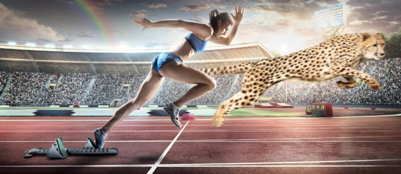 cheetah beats female sprinter